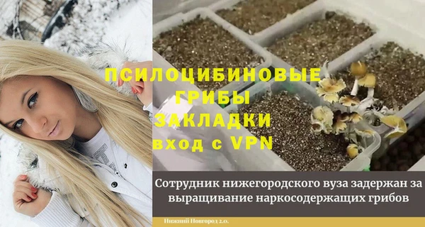 ALPHA-PVP Алексеевка
