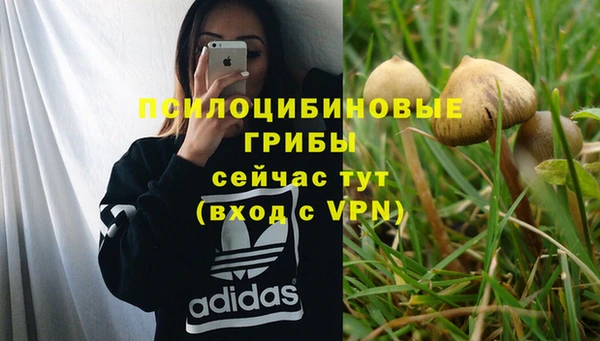 скорость Семёнов