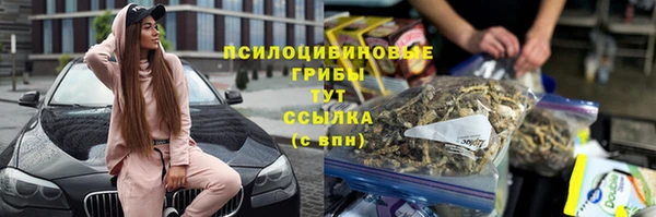 молекула духа Алексин