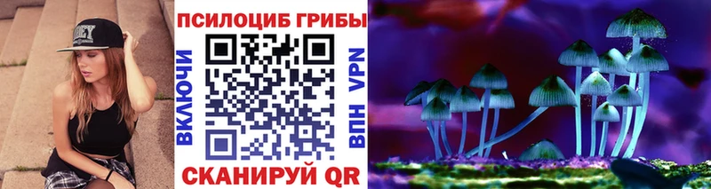 Псилоцибиновые грибы Psilocybine cubensis  Завитинск 